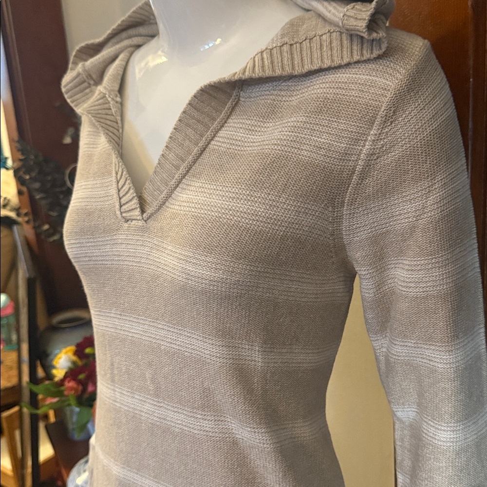 NWT Eddie Bauer size small Striped Beige Hooded Sweater
